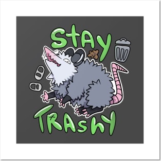 Stay Trashy Possum! Posters and Art